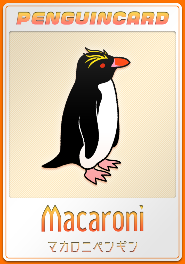 マカロニペンギン